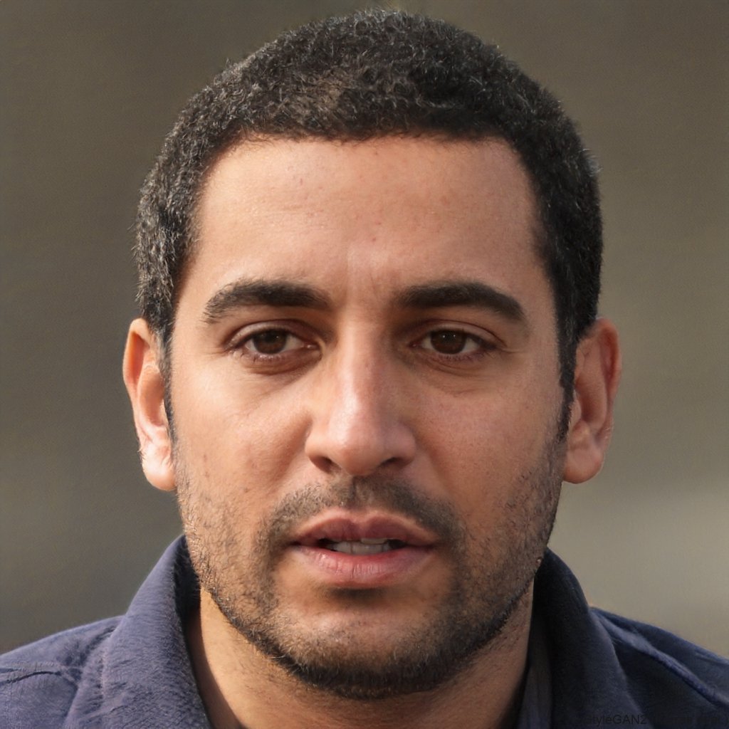 Kamel  
